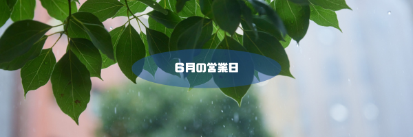 6月の営業日