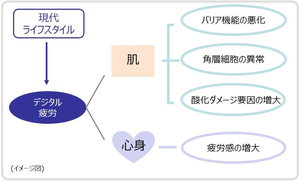 現代ライフスタイルがデジタル疲労を引き起こし肌のバリア機能悪化角層細胞異常酸化ダメージ増大と心身の疲労感増大を招く図