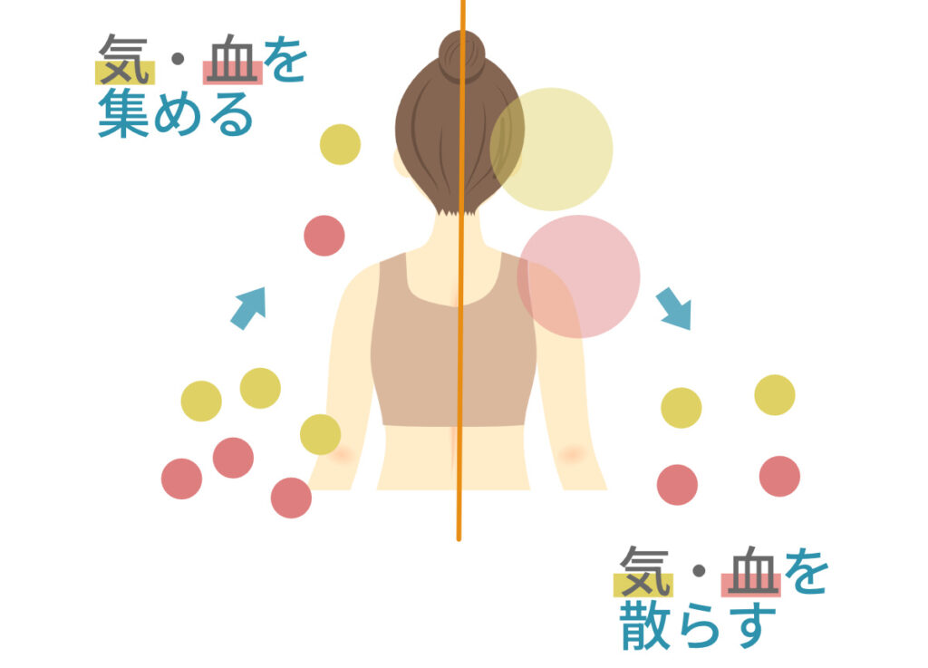 女性の背中を中央で分け左は気・血を集める文字と点が集まる様子右は気・血を散らす文字と点が散らばる様子を表す図