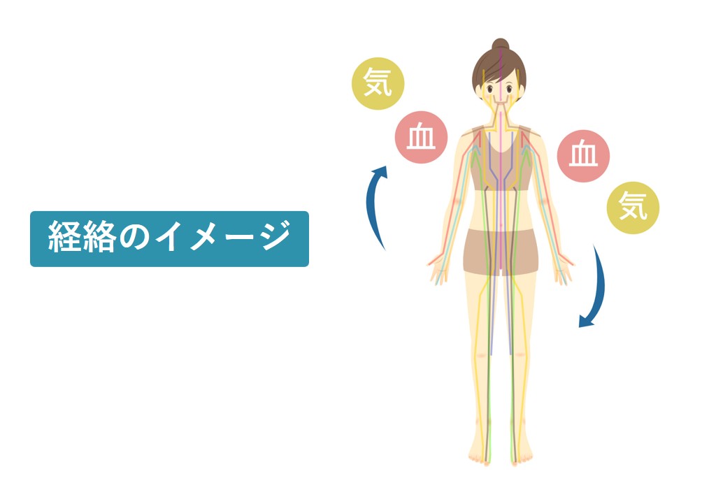 女性の体に気と血の通り道がカラフルな線で示された経絡のイラスト
